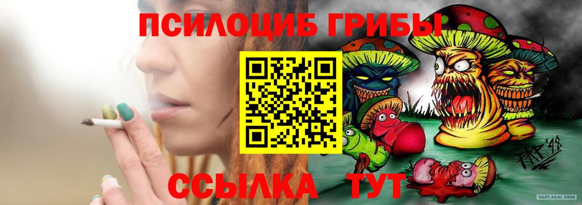 купить наркоту  Вход с VPN  Ачинск  Псилоцибиновые грибы GOLDEN TEACHER 